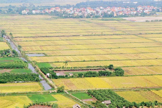 Luật Đất đai, "chưa thông" quy định thu hồi đất